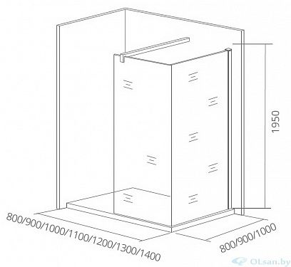 Душевая стенка Bas WALK IN SP+P-100-C-CH