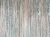 Oak Bonn