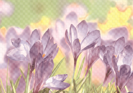 Вставка Axima "Виола" D2 (280х400), УТ-00013488
